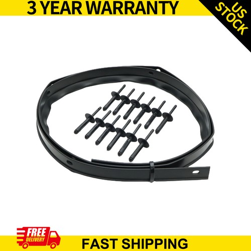 Engine hood bumper seal strip - engine,